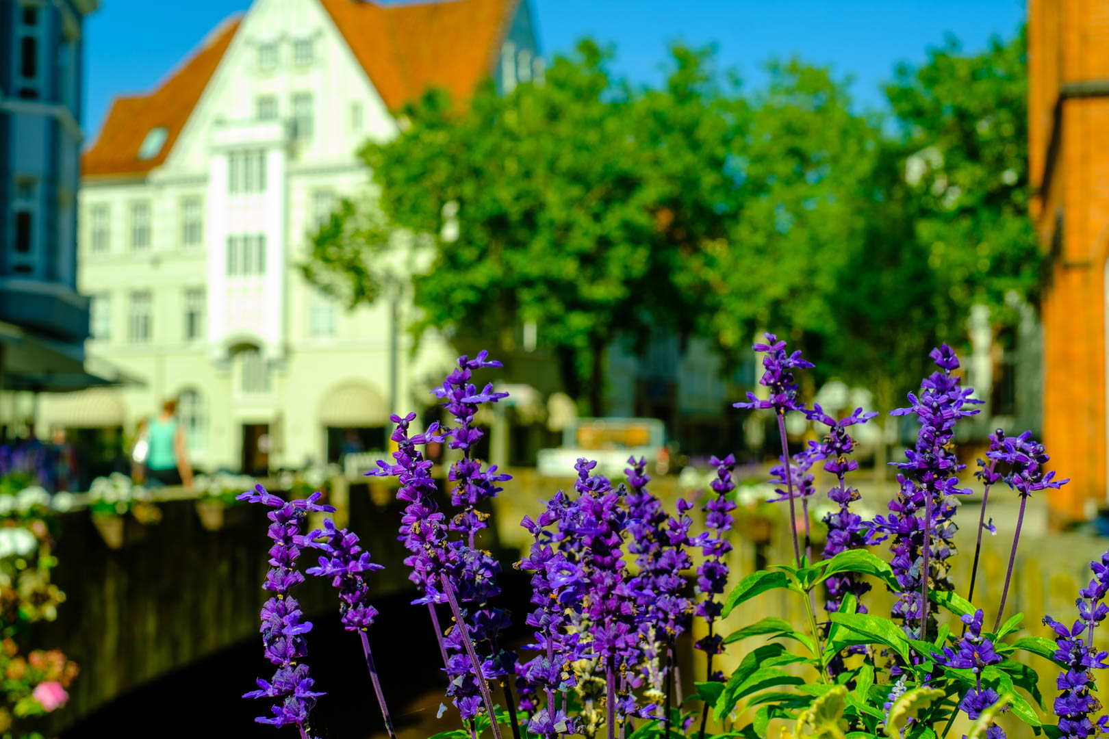 Bad Salzuflen, Steege