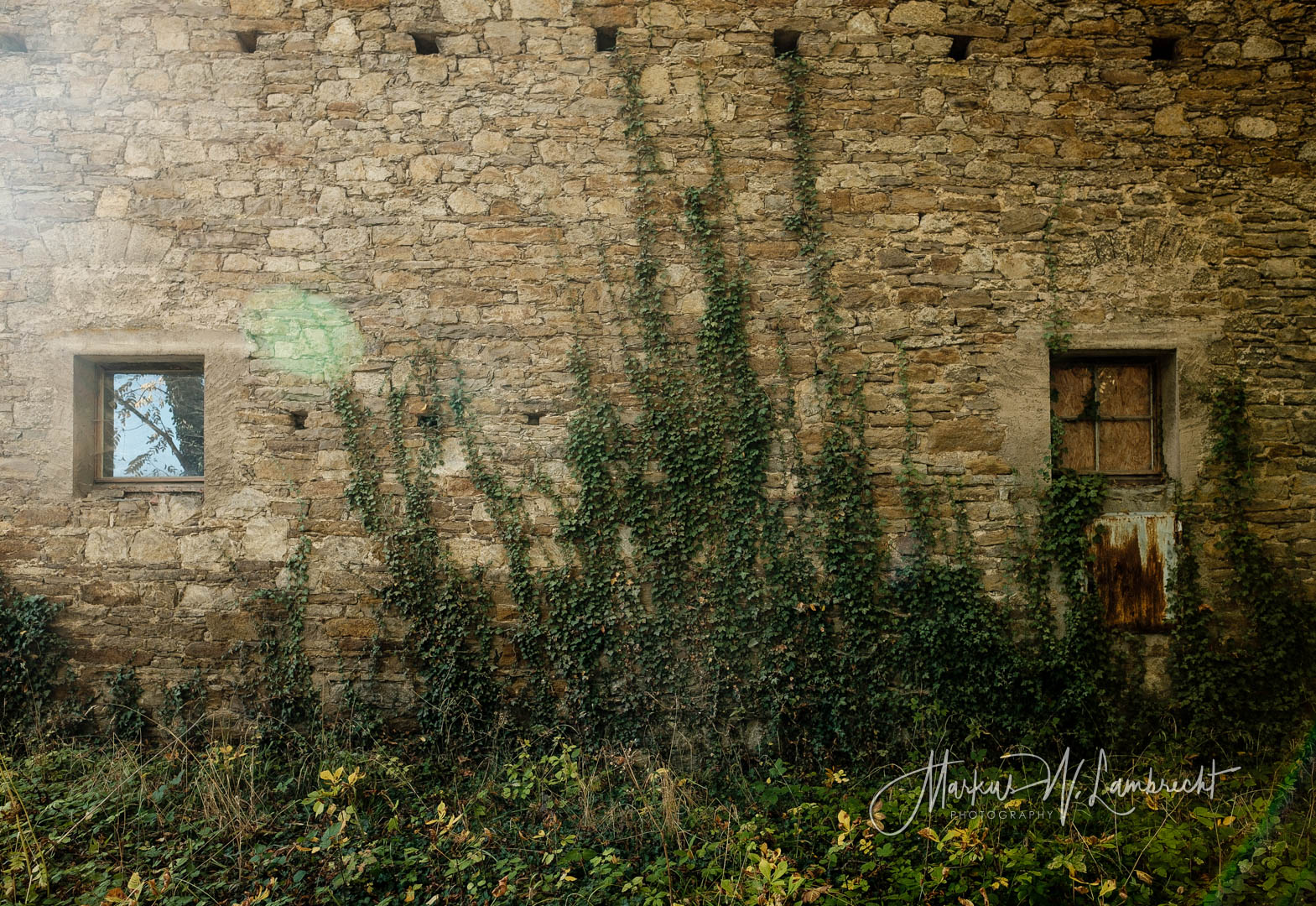 Niesen (Willebadessen)